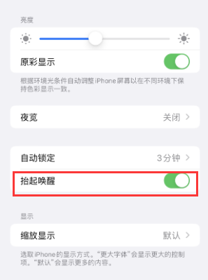 临颍苹果授权维修站分享iPhone轻点无法唤醒怎么办