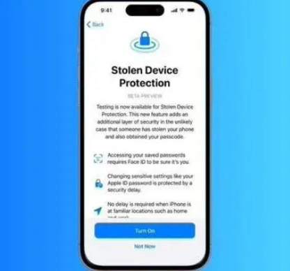 临颍苹果授权维修店分享被盗设备保护功能开启方法 
