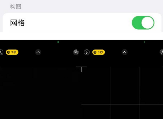 临颍苹果手机维修网点分享iPhone如何开启九宫格构图功能