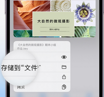 临颍apple维修中心分享iPhone文件应用中存储和找到下载文件