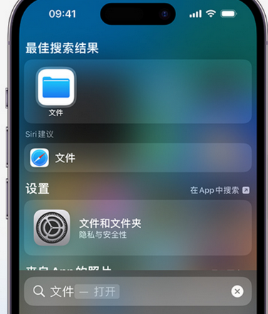 临颍apple维修中心分享iPhone文件应用中存储和找到下载文件 