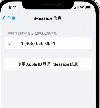 临颍apple维修iPhone上无法正常发送iMessage信息