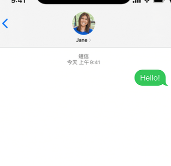 临颍apple维修iPhone上无法正常发送iMessage信息