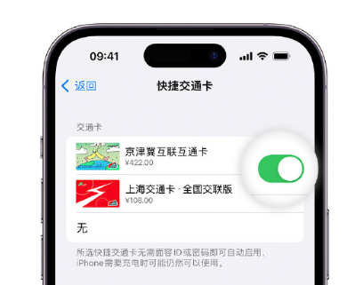 临颍apple维修点分享iPhone上更换Apple Pay快捷交通卡手绘卡面 