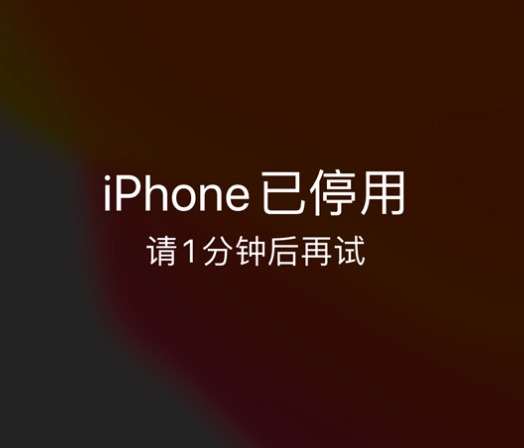 临颍苹果手机维修分享:iPhone 显示“不可用”或“已停用”怎么办？还能保留数据吗？ 