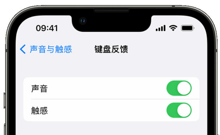 临颍苹果手机维修分享iPhone 14触感键盘使用方法 