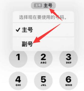 临颍苹果14维修店分享iPhone 14 Pro Max使用副卡打电话的方法 