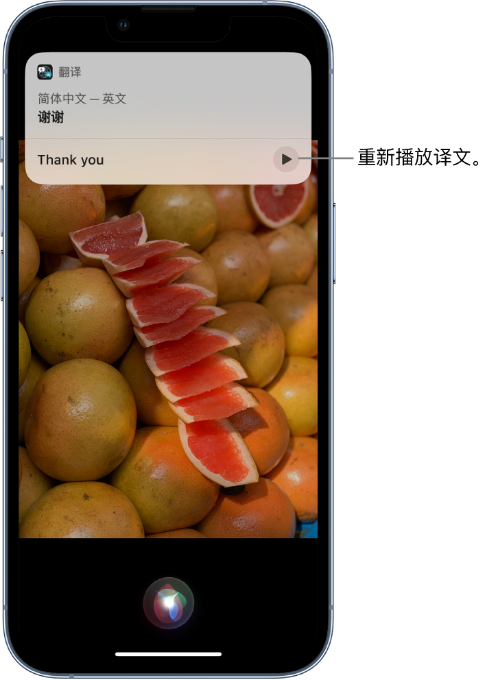 临颍苹果14维修分享 iPhone 14 机型中使用 Siri：了解 Siri 能帮你做什么 