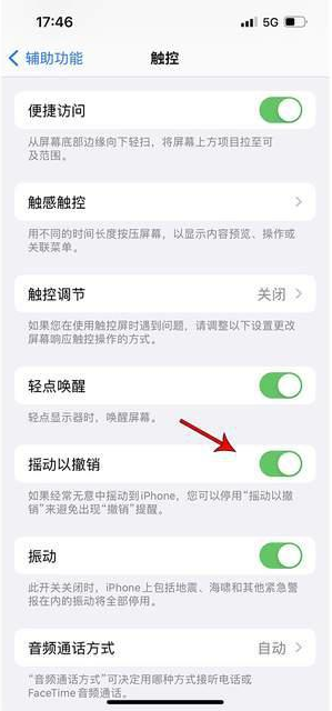 临颍苹果手机维修分享iPhone手机如何设置摇一摇删除文字 